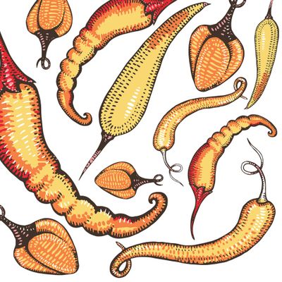 узор из жёлтого перца