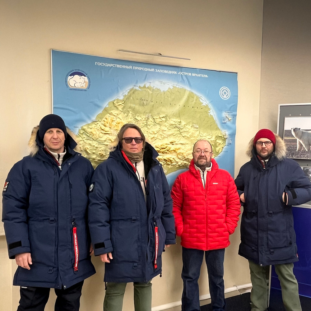 Вселенная белого медведя.