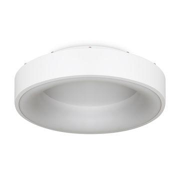 Потолочный светильник Freya FR6118CL-L45W