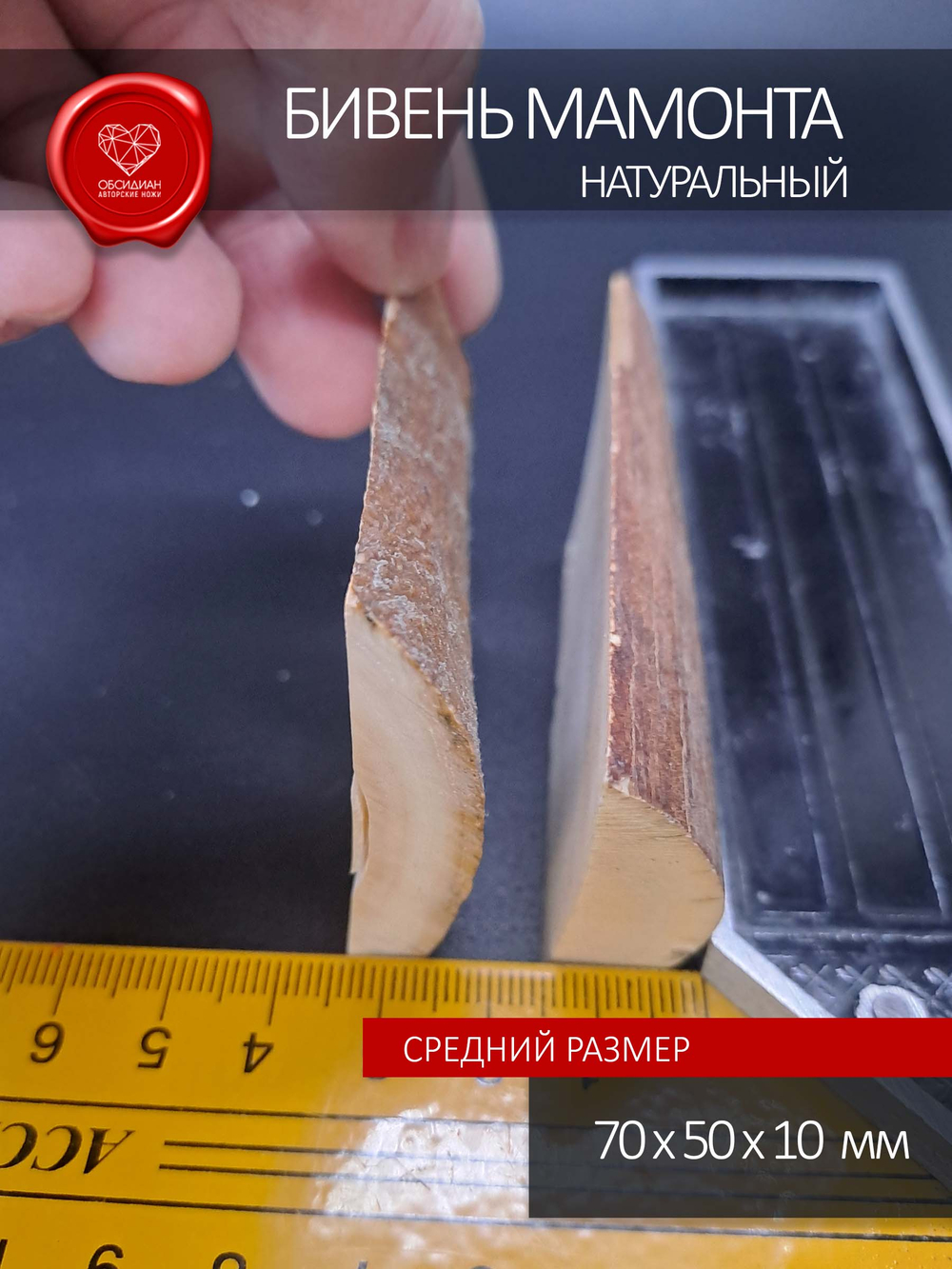 Бивень мамонта корка