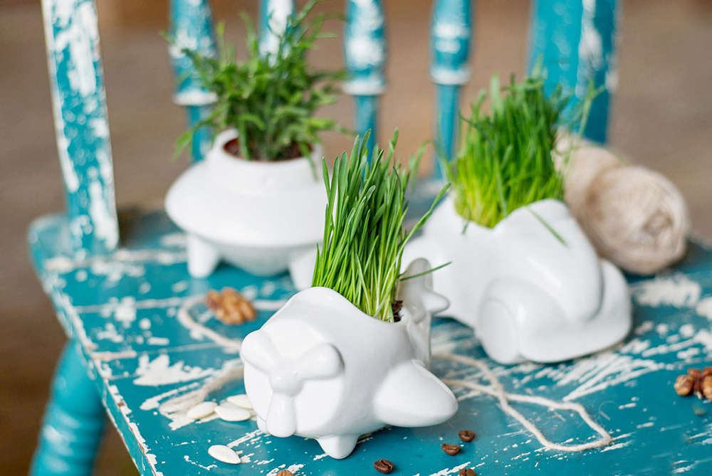 Набор для выращивания eco Самолет