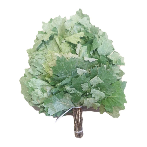 Веник для бани Дуб КАНАДСКИЙ