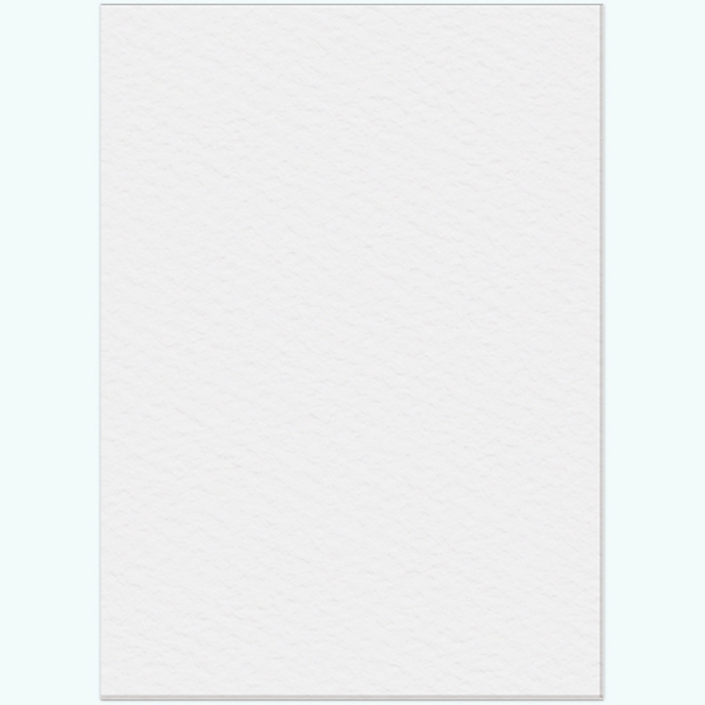 Папка для акварели "Золотая Рыбка" 10 листов, формат А3