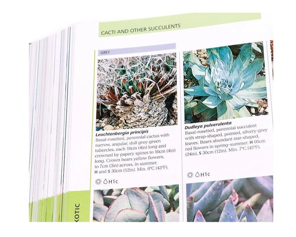 RHS Encyclopedia of plants and flowers