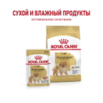 Royal Canin Pomeranian Adult Корм сухой для взрослых собак породы Померанский Шпиц 1,5 кг