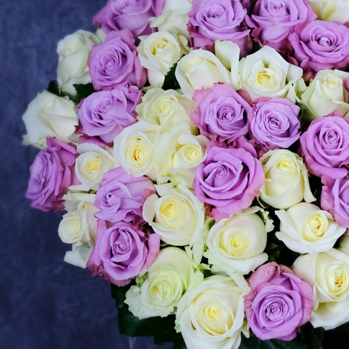Купить Букет 51 роза "Лунная соната"