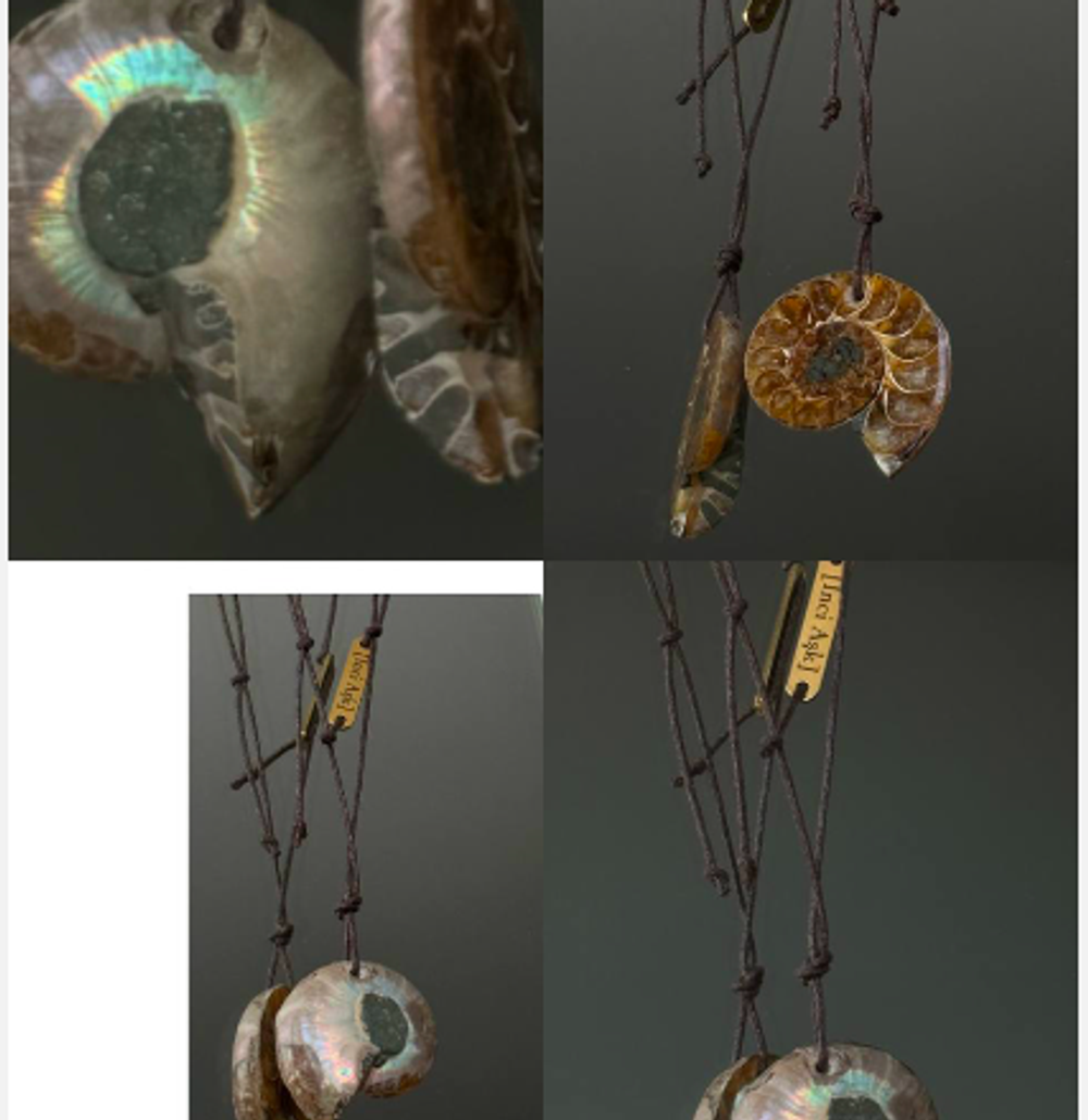 Чокер ammonite