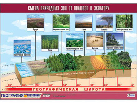 Таблица демонстрационная "Смена природных зон от полюсов к экватору" (винил 100x140)