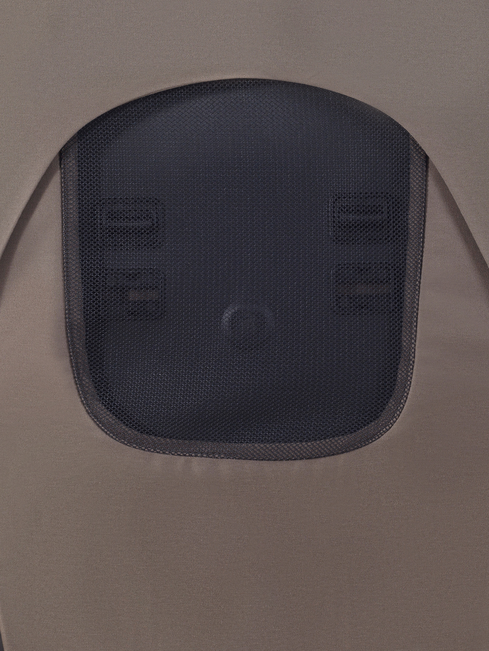 Коляска 2 в 1 Rant Garda