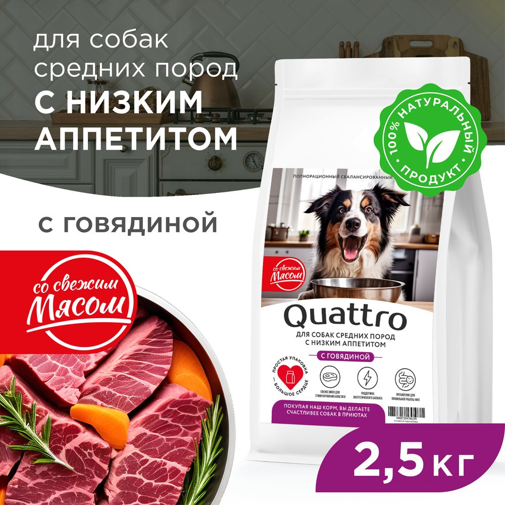 Корм сухой для взрослых собак средних пород, премиум полнорационный комплекс, низкий аппетит, с говядиной, 2,5 кг, QUATTRO