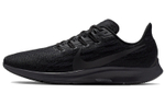 Кроссовки Nike Pegasus 36 36