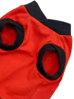 Одежда для собак мелких пород