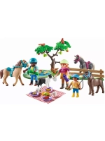 Набор Пикник в деревне Playmobil 71239