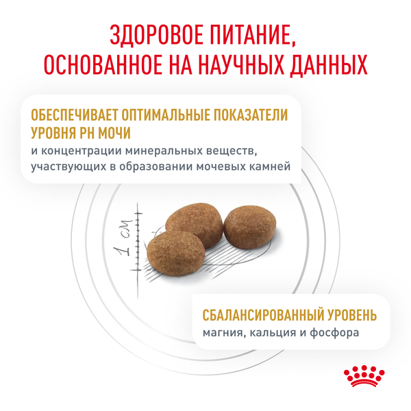Сухой корм Royal Canin Urinary S/O для взрослых кошек при мочекаменной болезни
