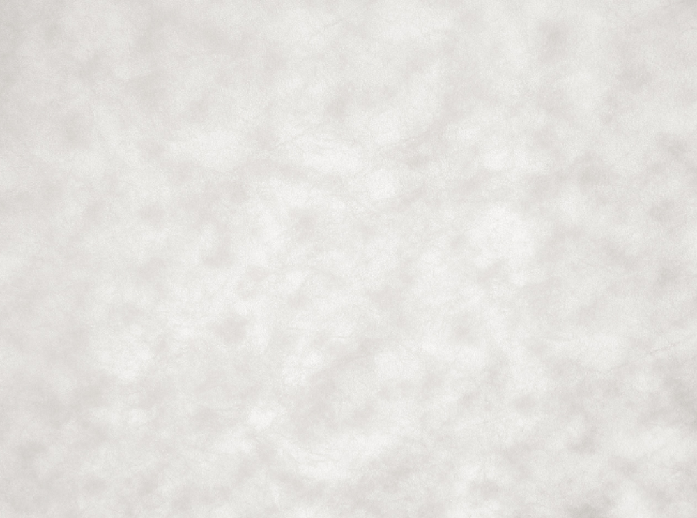 Велюр Alaska bone (Аляска бон)