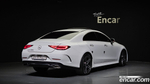 Mercedes-Benz CLS-Class C257 CLS300d AMG Line (04.2020)