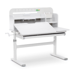 Растущая парта Ergokids Argo