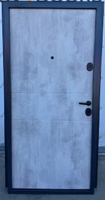 Дверь входная Дели