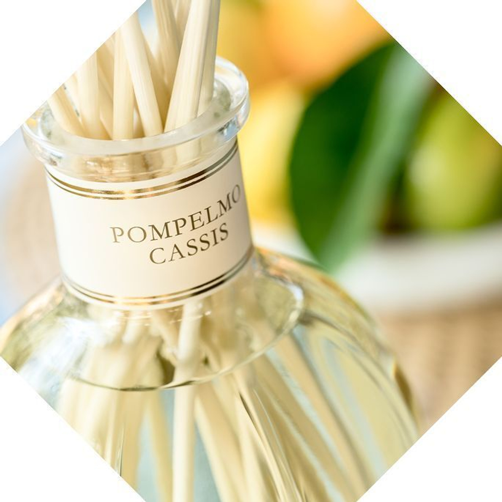 Dr. Vranjes Pompelmo Cassis диффузор (аромат грейпфрут и смородина)