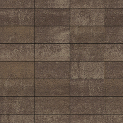 Тротуарная плитка ПРЯМОУГОЛЬНИК 300х150 мм - Листопад гранит Хаски