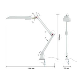 Настольный светильник ЭРА NL-201-G23-11W-W с лампой PL на струбцине белый