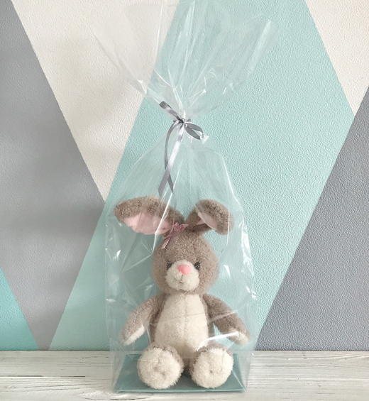 Прозрачный пакет с жестким дном, 11х17х60 см