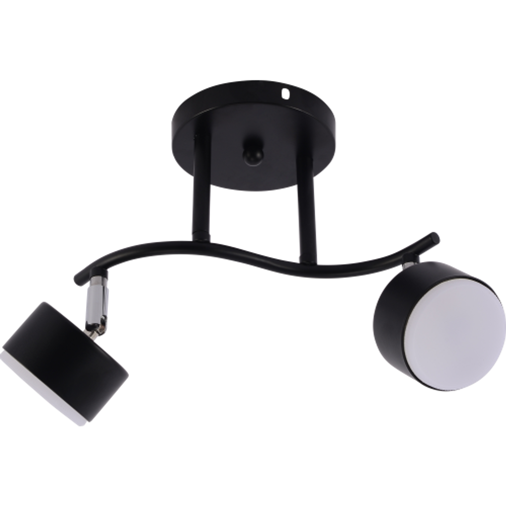 Светильник настенно-потолочный спот Rivoli Vanessa 7074-702 2хGX53 15 Вт поворотный | Rivoli