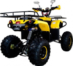 Квадроцикл AVANTIS Patriot M