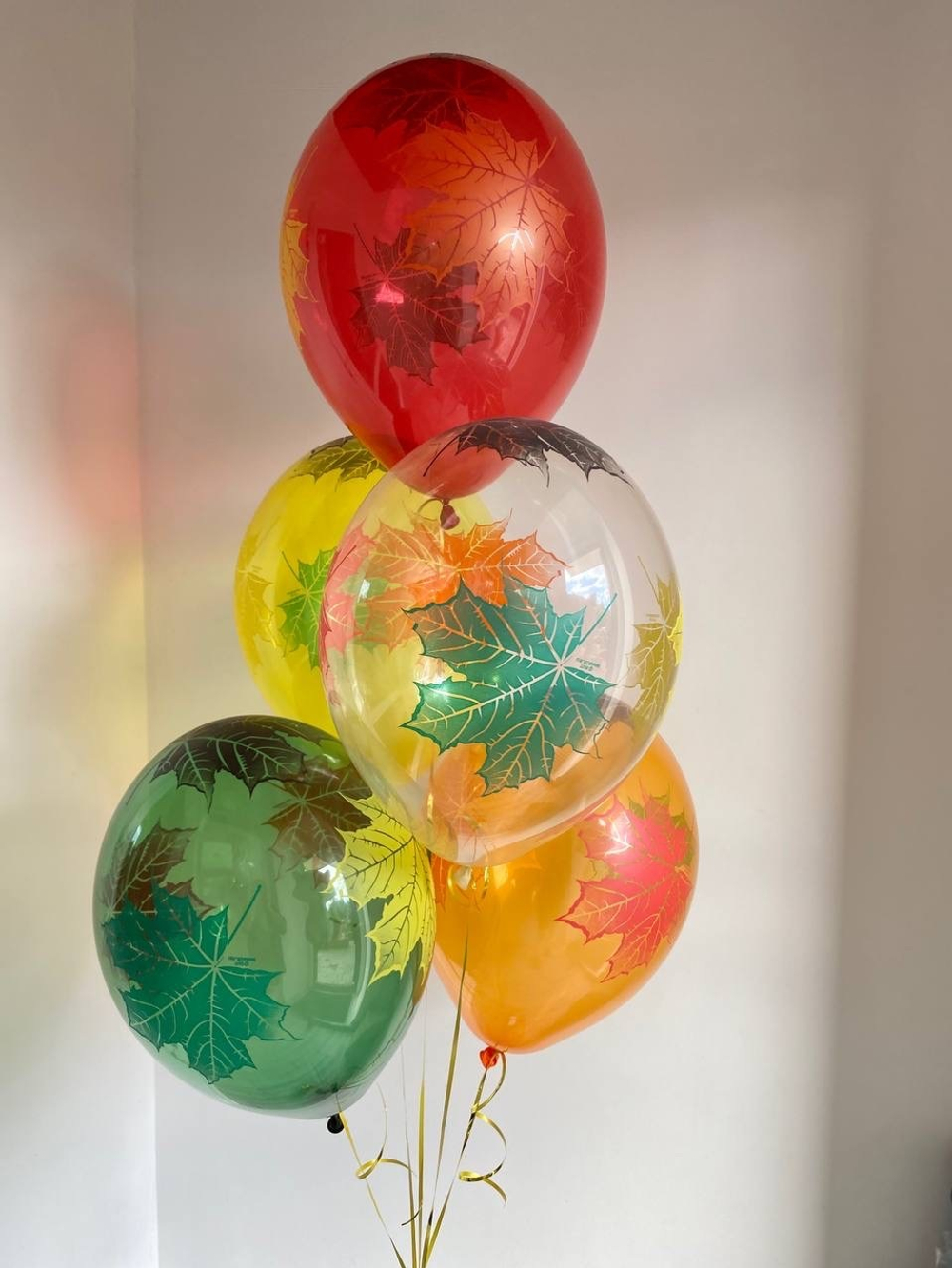 Воздушные шары в школу Глобус №1262