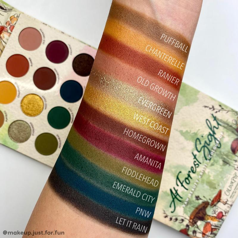 ColourPop At Forest Sight palette