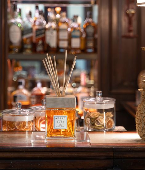 Note di Natale, диффузор c палочками, Acqua dell’Elba