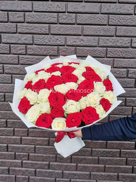 51 белая и красная роза