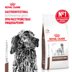 Royal Canin Gastrointestinal Гастроинтестинал Корм сухой диета для взрослых собак при расстройствах пищеварения 15кг
