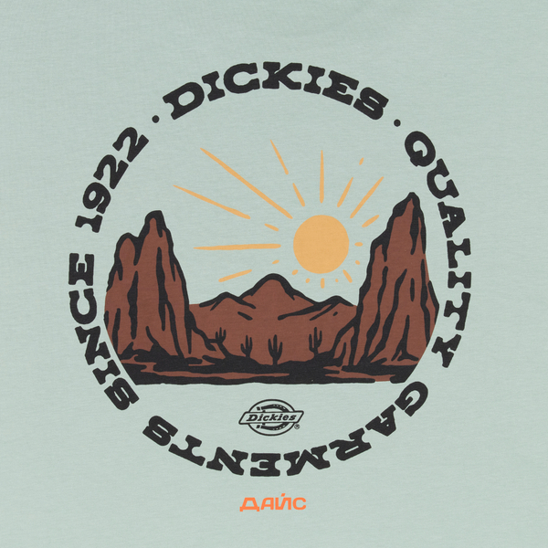 Футболка мужская Dickies Outdoor артикул:DK0A4Z8PK361 - купить в магазине Дайс