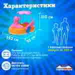 Семейная электрическая лодка-катамаран «Розовый лебедь», 1+1