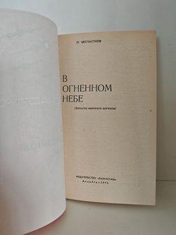 В огненном небе. Записки военного летчика