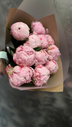 Пионы 15 шт