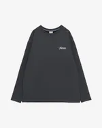 Лонгслив Anteater Phat Long 110 темно-серый