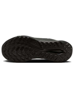 Кроссовки Nike Pegasus Trail 4 Gtx Waterproof 'Black' Women's