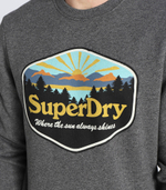 Худи Superdry - серый(M2012118A)