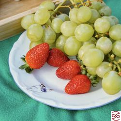 Набор тарелок плоских Repast 19 см (2 шт в наборе)