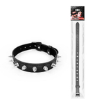 Черный ошейник с серебристыми шипами (Цвет: черный с серебристым)