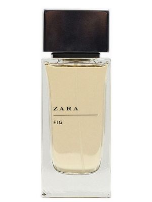 Zara Fig