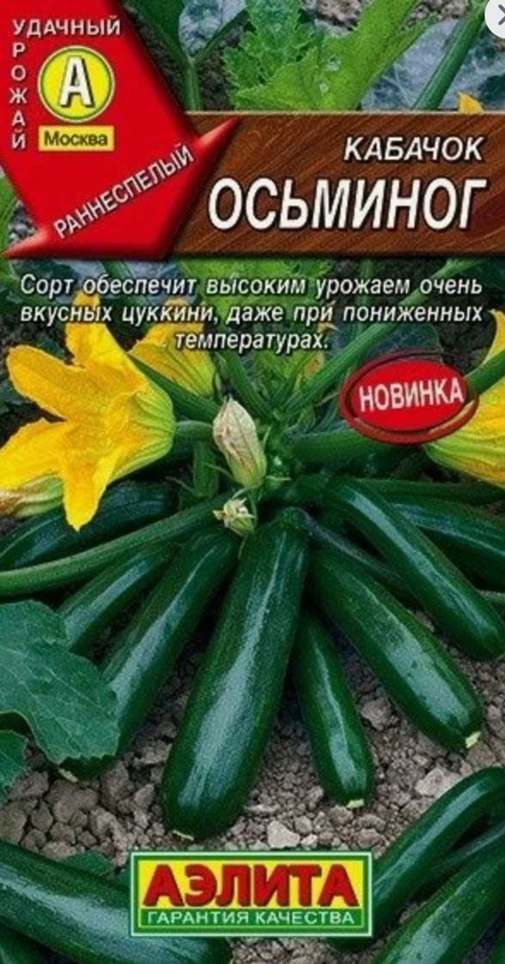 Кабачок Осьминог