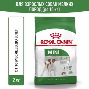 Сухой корм Royal Canin Mini Adult для взрослых собак мелких размеров от 10 месяцев