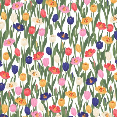 Разноцветные тюльпаны