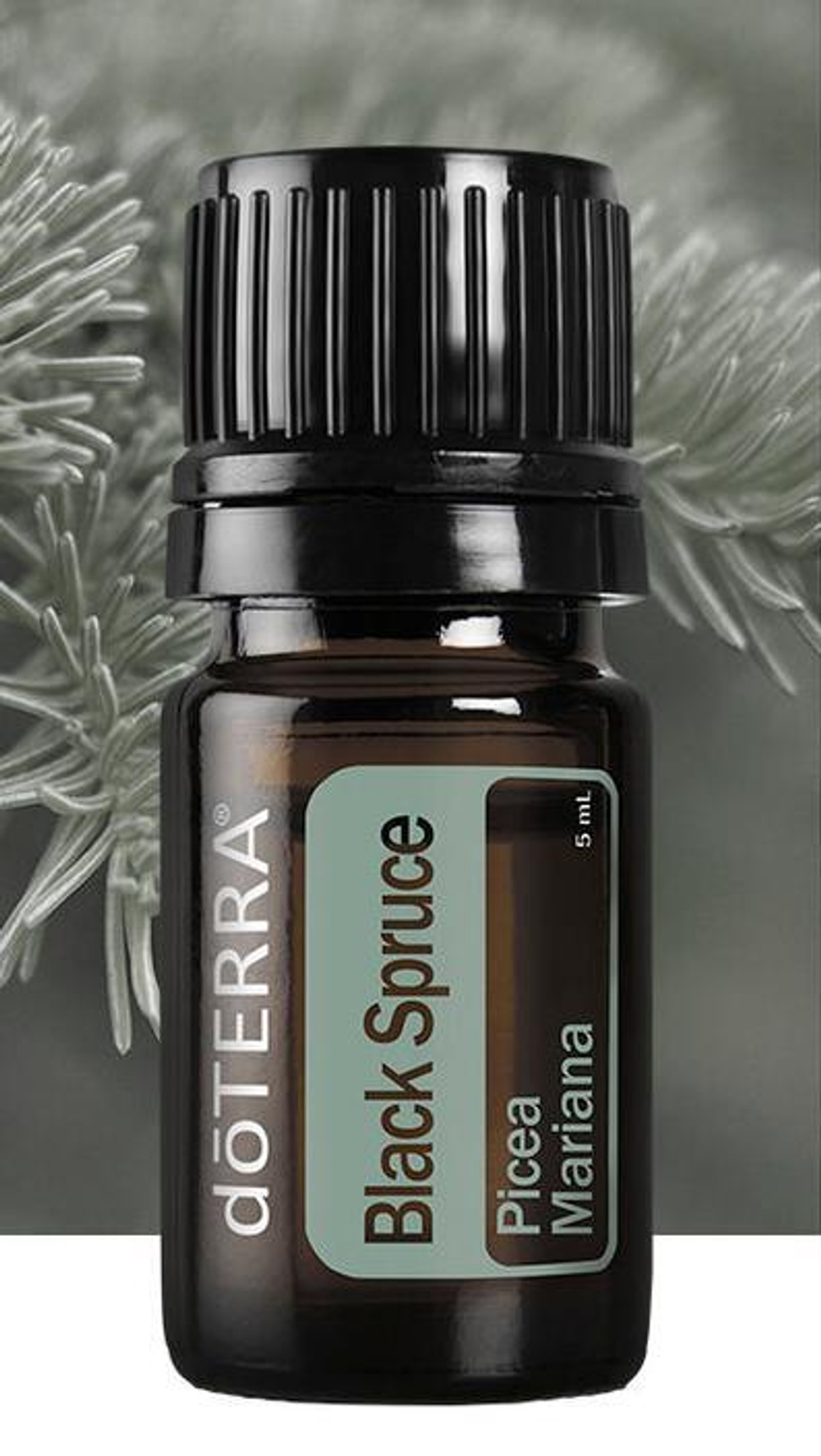 Эфирное масло doTERRA Чёрная ель, Black Spruce, 5 мл