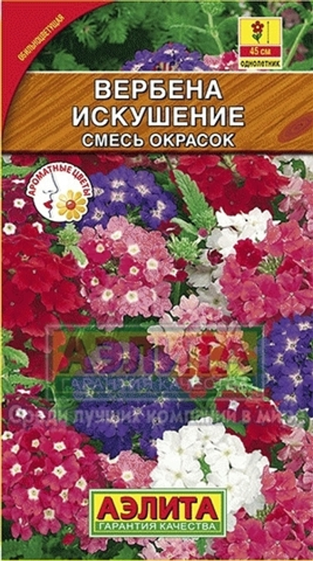 Вербена Искушение, смесь сортов ароматные 40шт Аэлита