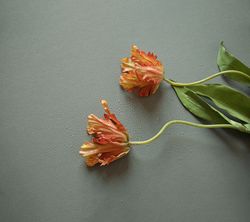 Русская классика Wellness