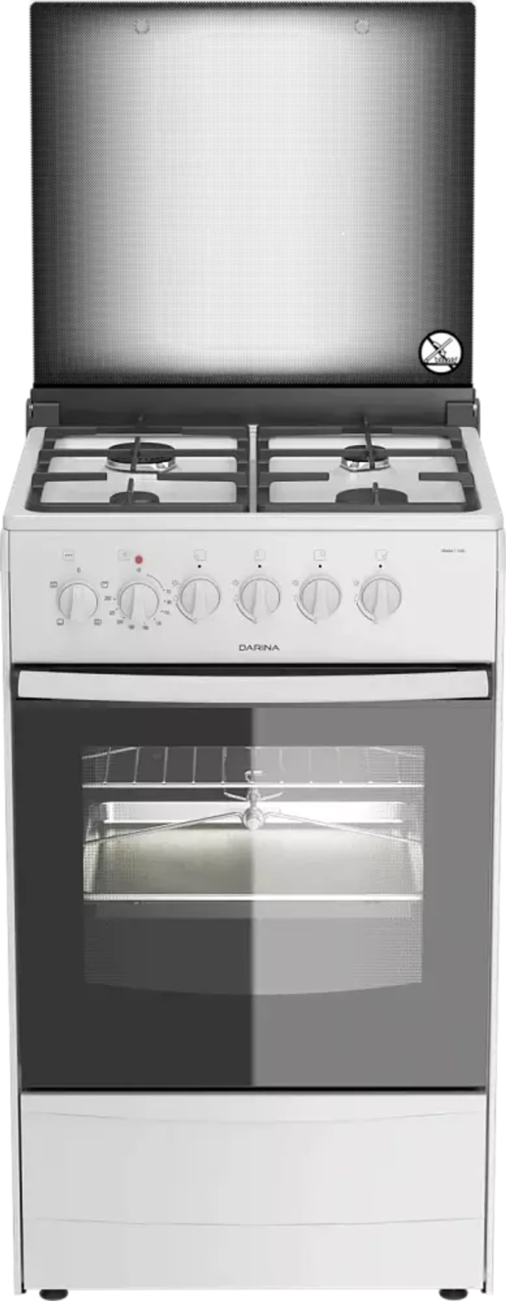 Darina 1B KM441 306 W в Кирове